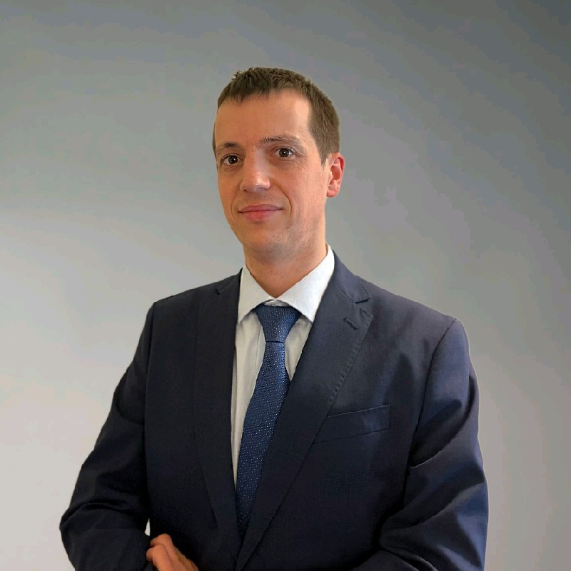 Giulio Vialetto, consulente direzionale